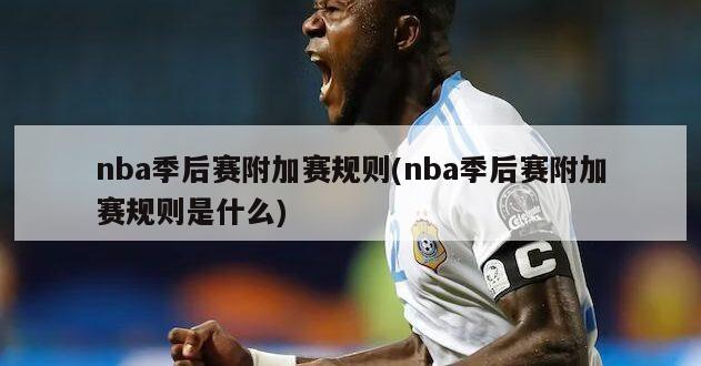 nba季后赛附加赛规则(nba季后赛附加赛规则是什么)