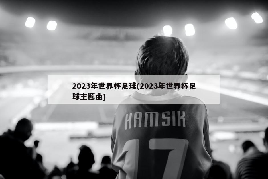 2023年世界杯足球(2023年世界杯足球主题曲)