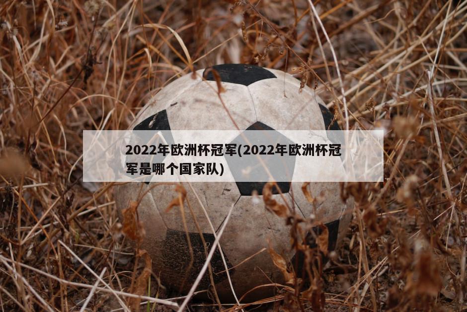 2022年欧洲杯冠军(2022年欧洲杯冠军是哪个国家队)