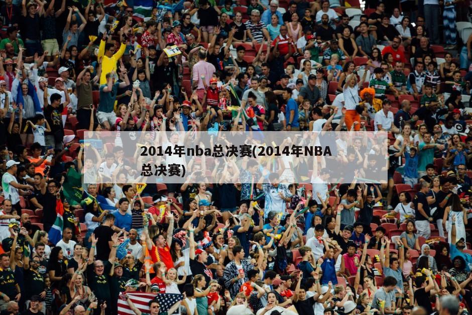 2014年nba总决赛(2014年NBA总决赛)