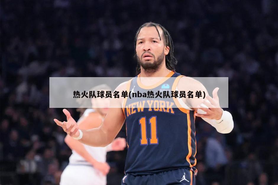 热火队球员名单(nba热火队球员名单)